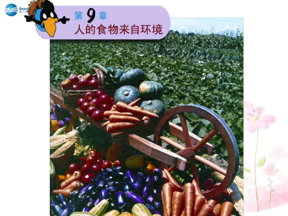 七年级生物下册 第九章 第一节 人体需要的主要营养物质课件1 （新版）苏教版_第1页