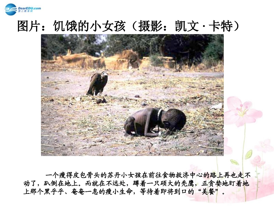 七年级生物下册 第九章 第一节 人体需要的主要营养物质课件1 （新版）苏教版_第3页