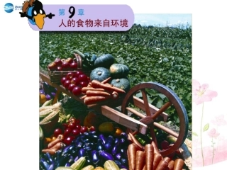 七年级生物下册 第九章 第一节 人体需要的主要营养物质课件1 （新版）苏教版