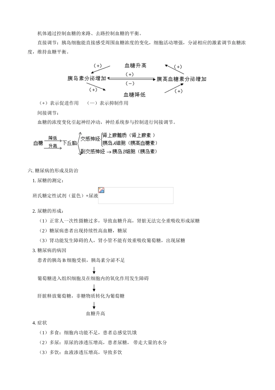高三生物新课 血糖调节，人体的体温及其调节 人教版_第3页
