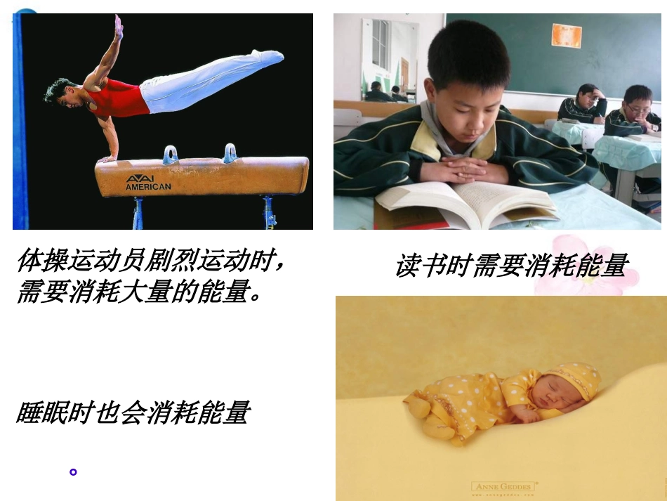 七年级生物下册 第十章 第五节 人体能量的供给课件3 （新版）苏教版_第1页