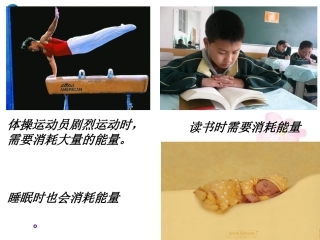 七年级生物下册 第十章 第五节 人体能量的供给课件3 （新版）苏教版