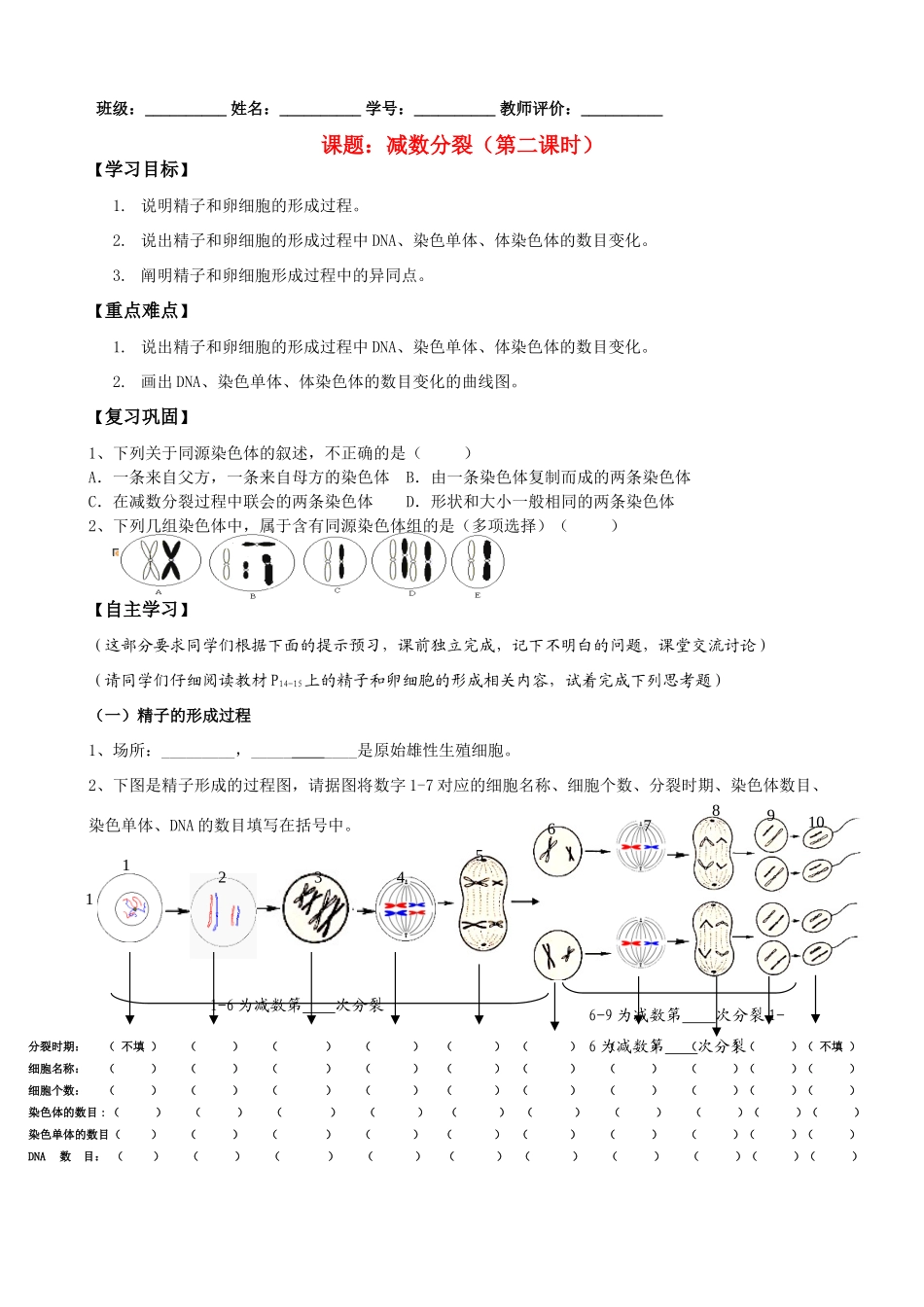 高中生物减数分裂第二课时教案新人教版必修2_第1页