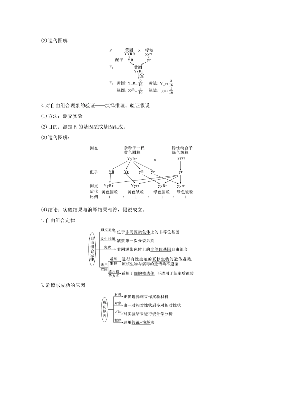 （鲁京津琼）高考生物总复习 第14讲 基因的自由组合定律教案-人教版高三全册生物教案_第2页