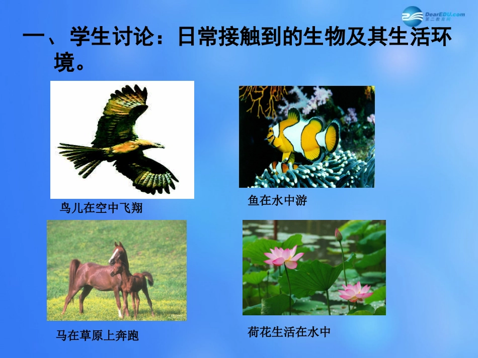 七年级生物上册 第1章 第1节 形形色色的生物课件1 北师大版_第3页