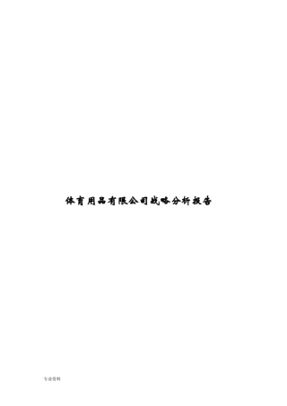 体育用品有限公司战略分析报告