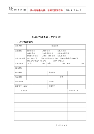 井矿盐区企业状况调查表格