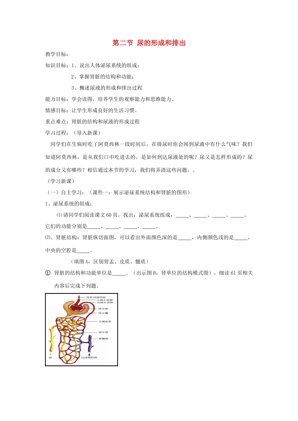 七年级生物下册 第11章 第2节《尿的形成和排出》教案2 北师大版_第1页
