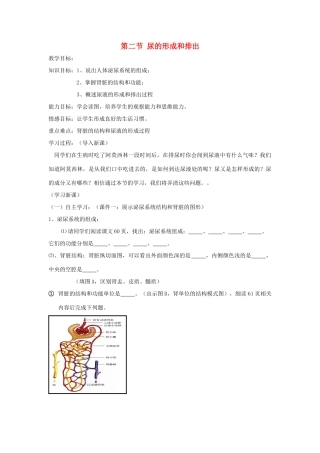七年级生物下册 第11章 第2节《尿的形成和排出》教案2 北师大版