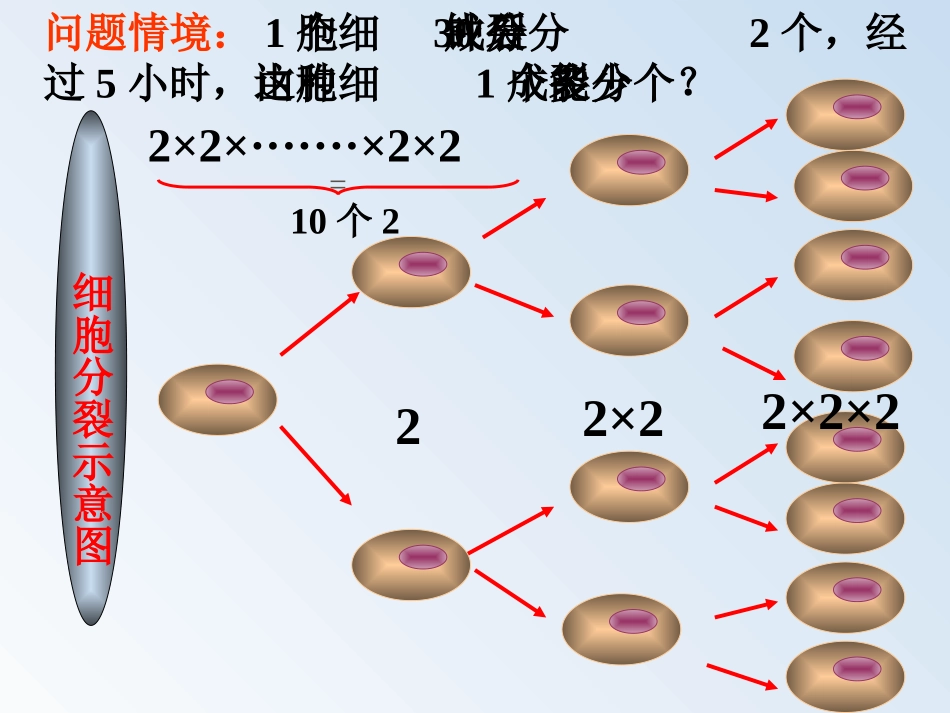 人教版七年级数学上册 有理数的乘方1_第2页