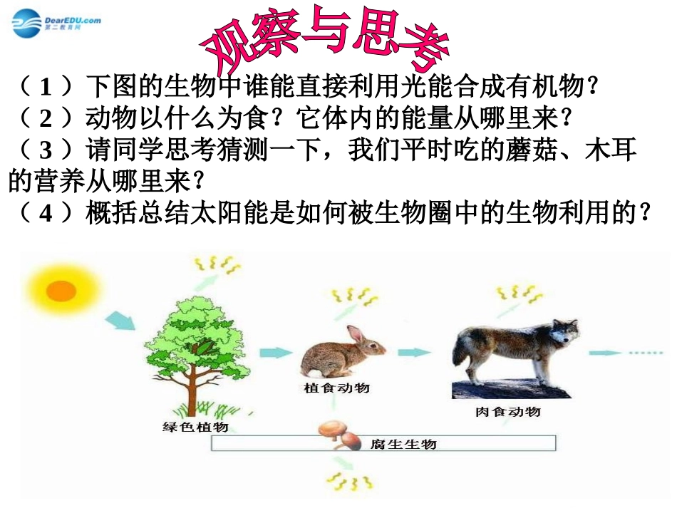 七年级生物上册 第7章 第1节 绿色植物在生物圈中的作用课件2 北师大版_第3页