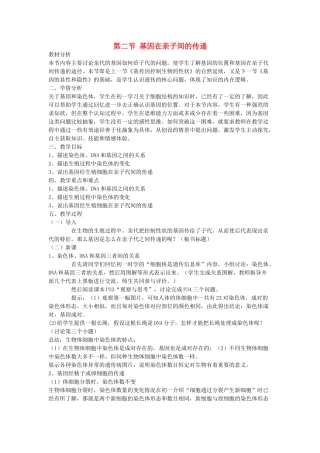 山东省泰安市新泰八年级生物下册 第二章 第二节 基因在亲子间的传递教案 新人教版