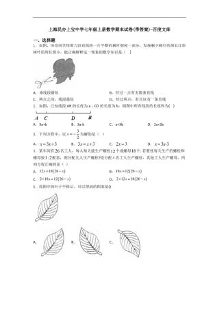 上海民办上宝中学七年级上册数学期末试卷(带答案)-百度文库