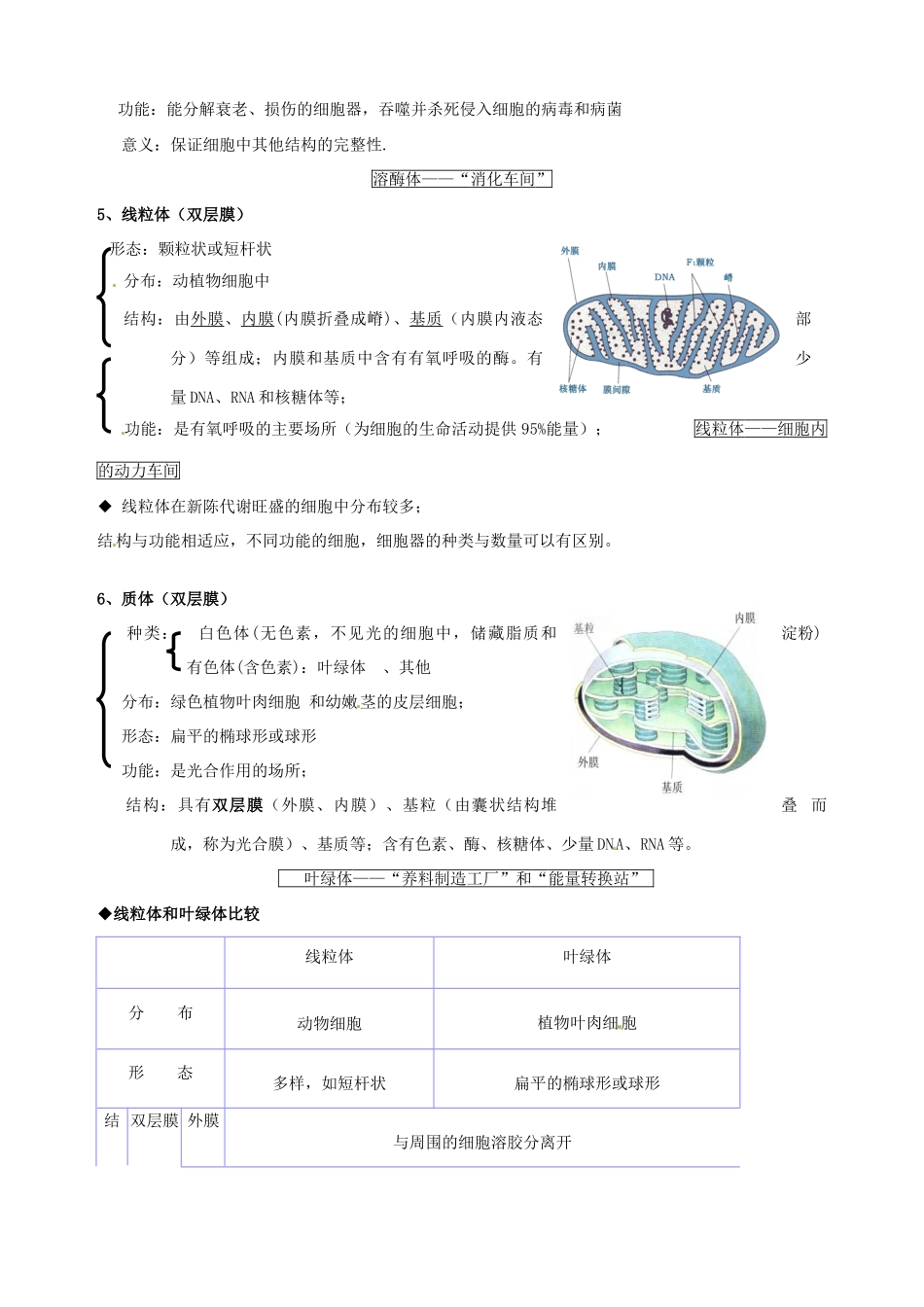 福建省建瓯二中高中生物 基础知识 第二章 细胞的结构 第三节 细胞质 新人教版必修1_第2页