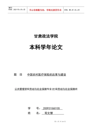 中国农村医疗保险的改革与建设方案