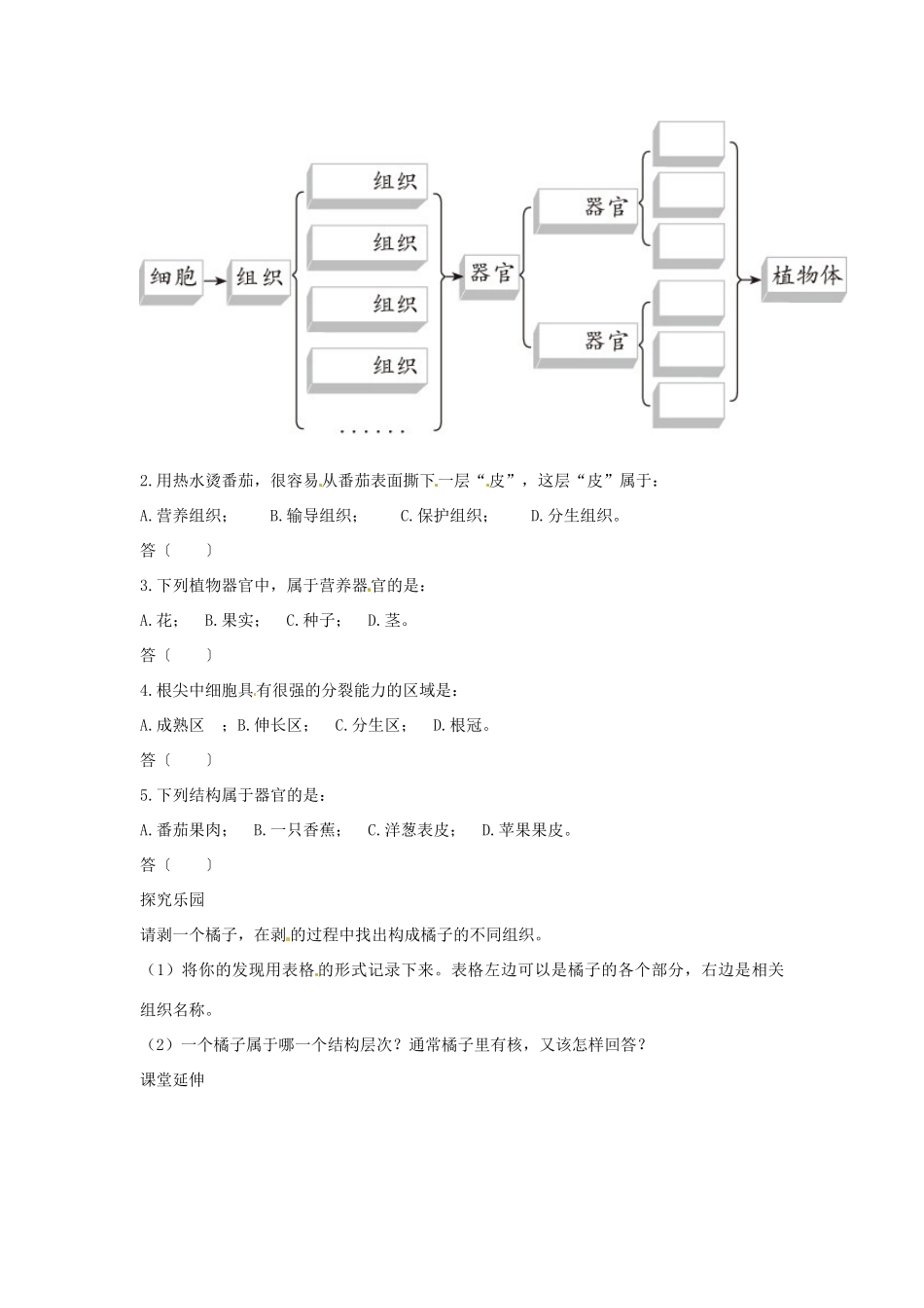 七年级生物上册 第二节植物体的结构层次解析与测评教案 教版_第2页