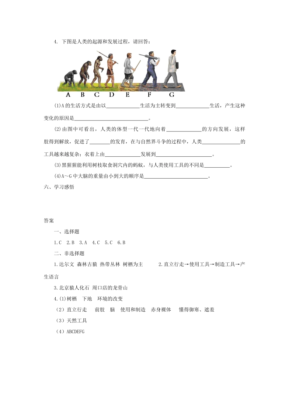 七年级生物下册 第4单元 第一章《人的由来》第一节《人类的起源和发展》习题精选 （新版）新人教版_第2页