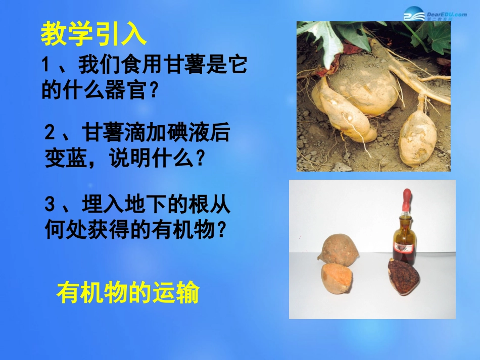 七年级生物上册 第5章 第5节 运输作用课件2 北师大版_第2页