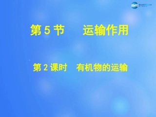 七年级生物上册 第5章 第5节 运输作用课件2 北师大版