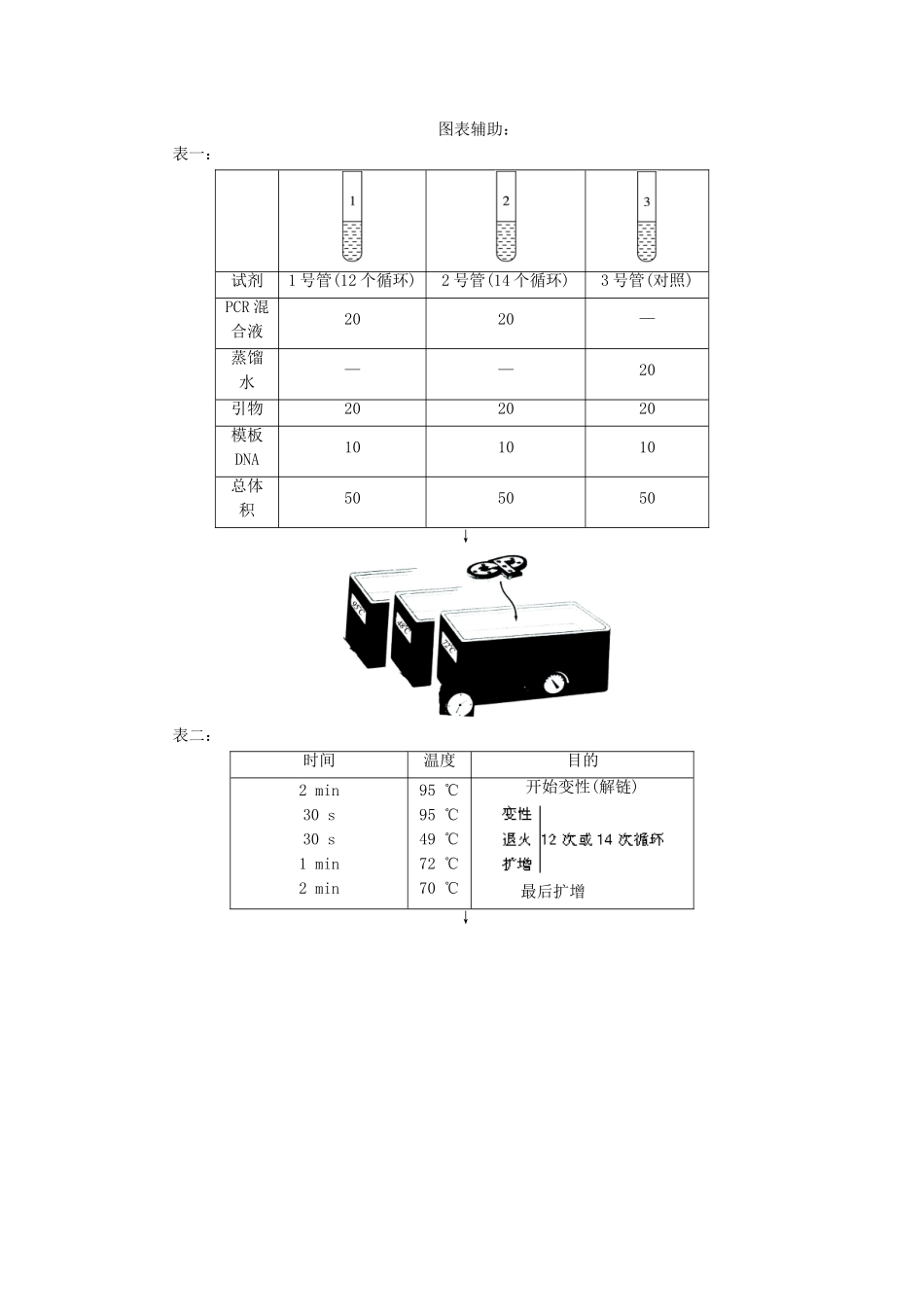 高中生物 实验13DNA片段的PCR扩增辅导教案 浙科版_第3页