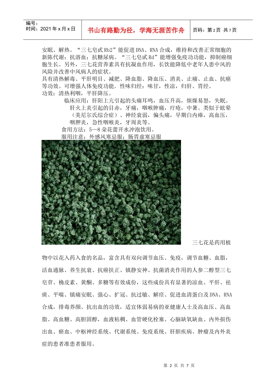 三七花的药用与食用_第2页