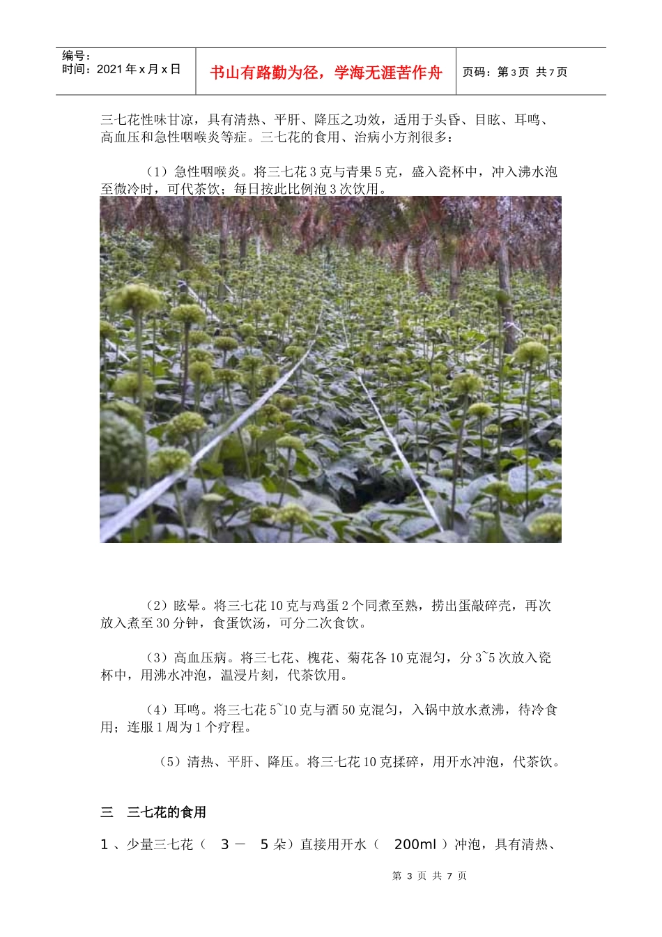 三七花的药用与食用_第3页
