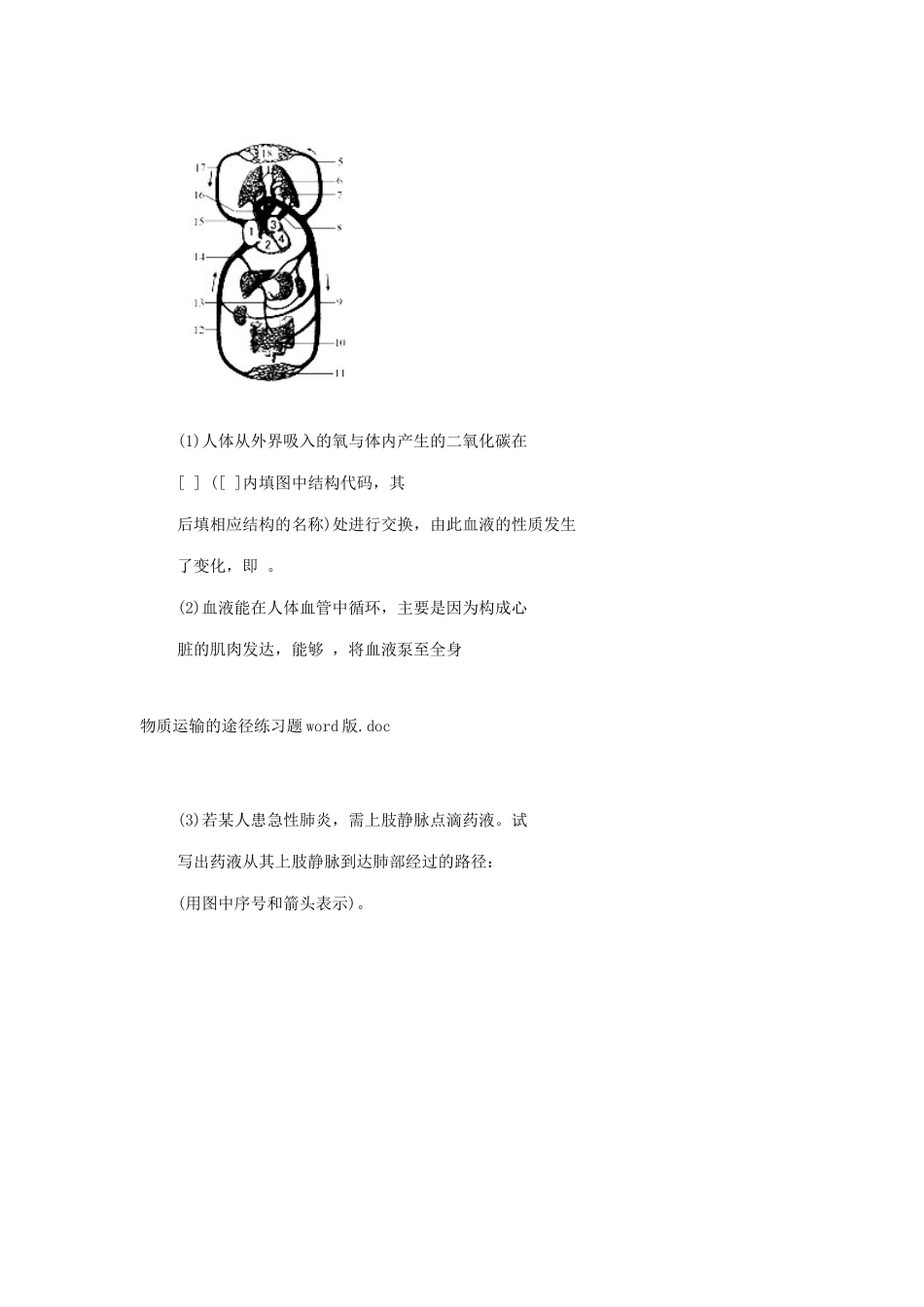 山东省龙口市诸由观镇诸由中学七年级生物下册 第四章《人体内物质的运输》物质运输的途径复习教案 新人教版_第3页