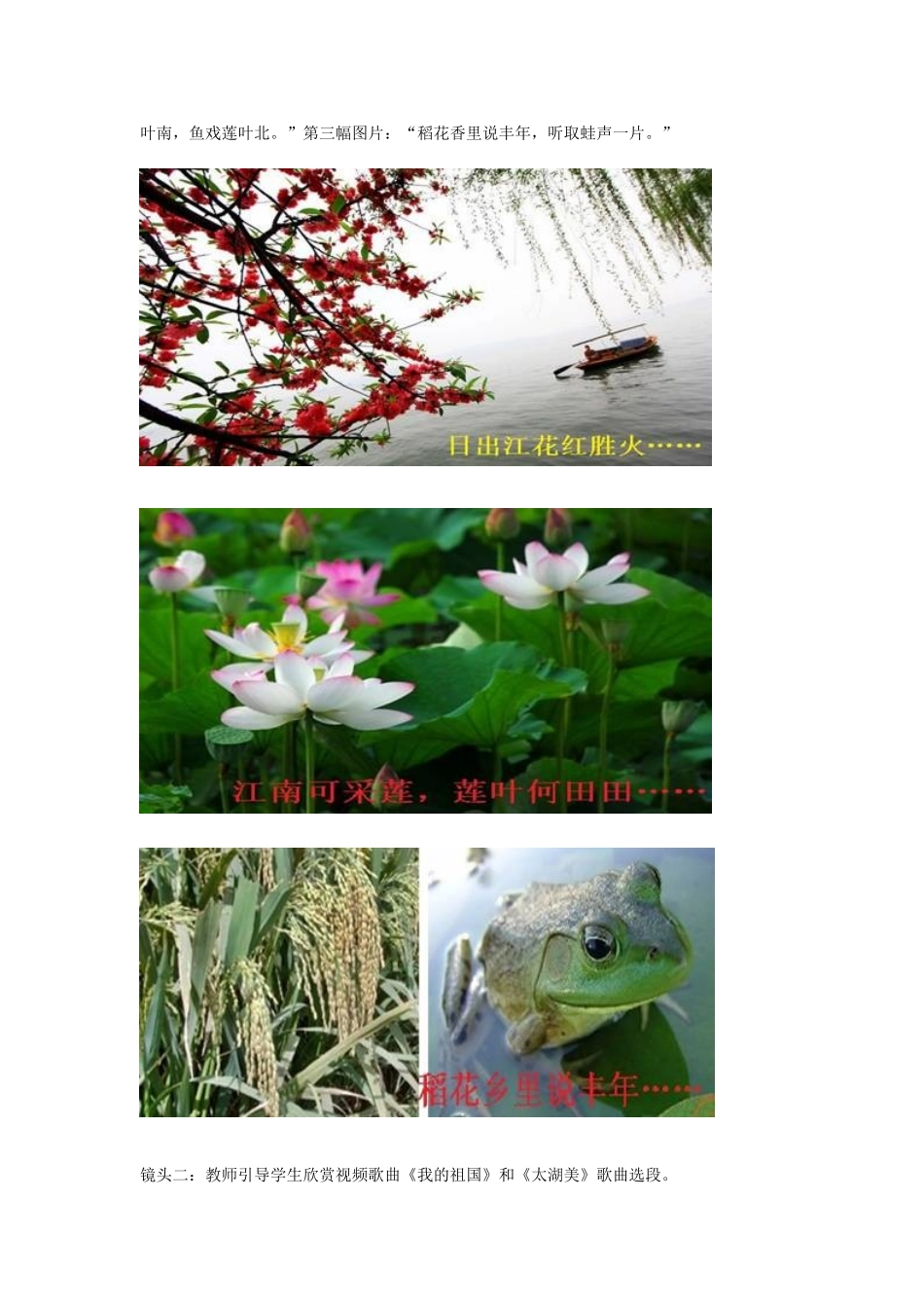 山东省桓台县马桥实验学校八年级地理下册 第七章 第一节 自然特征与农业教案 （新版）新人教版_第3页