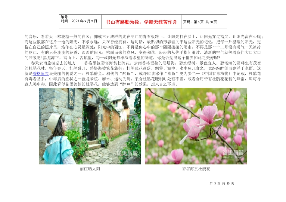 云南旅游攻略大全_第3页