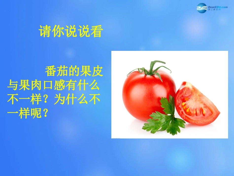 七年级生物上册 第4章 第1节 细胞分化形成组织课件2 北师大版_第3页