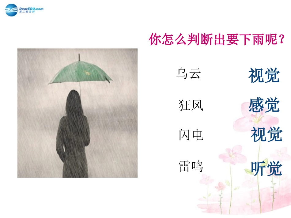 七年级生物下册 第十二章 第三节 人体感知信息课件3 （新版）苏教版_第2页