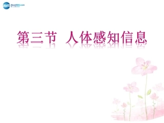 七年级生物下册 第十二章 第三节 人体感知信息课件3 （新版）苏教版