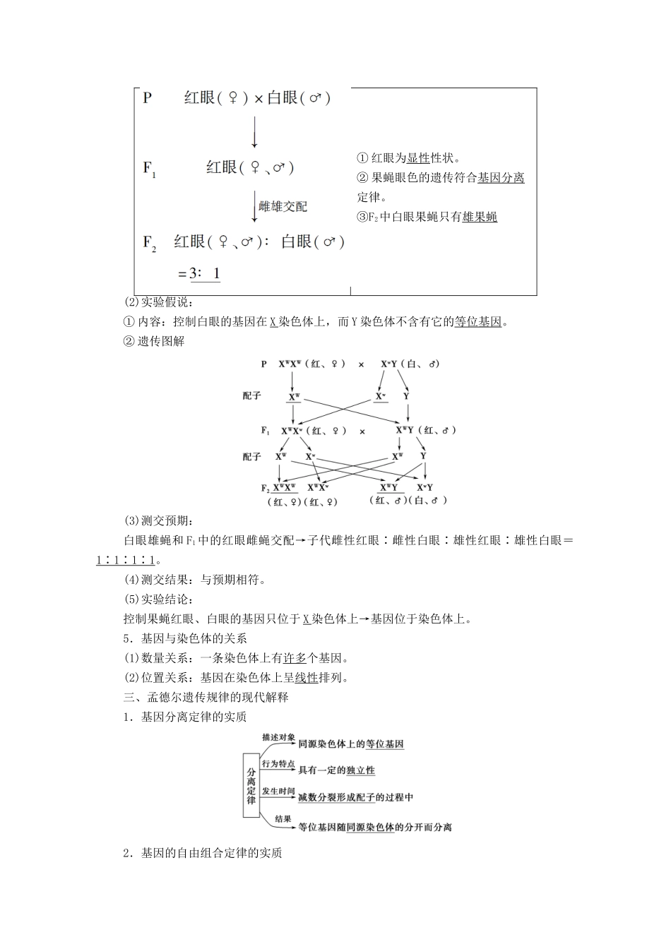 高中生物 第2章 基因和染色体的关系 第2节 基因在染色体上教案 新人教版必修2-新人教版高中必修2生物教案_第2页