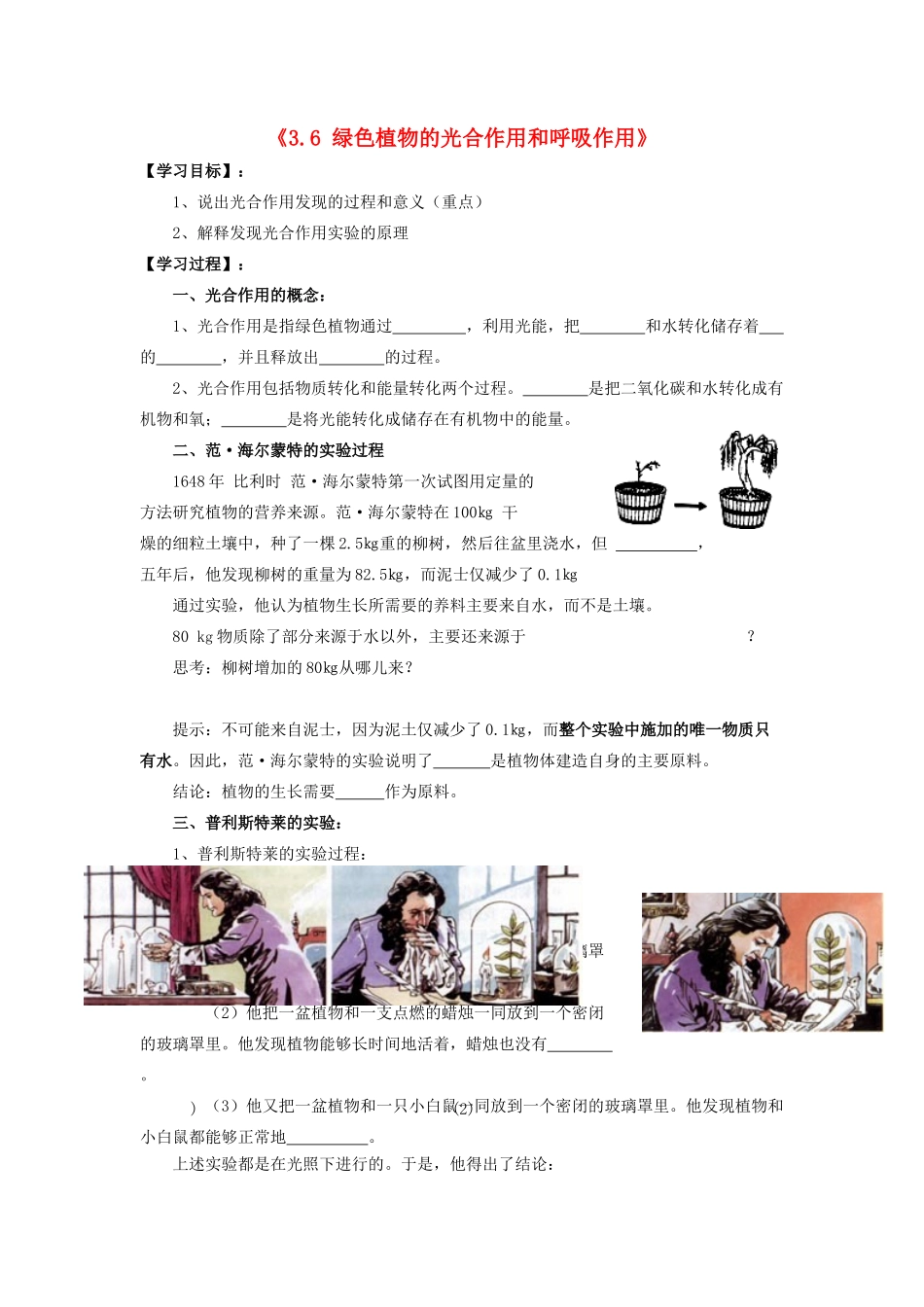辽宁省辽阳市第九中学七年级生物上册《3.6 绿色植物的光合作用和呼吸作用》学案（无答案） 新人教版_第1页