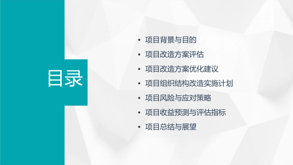 某航空快运有限公司战略项目组织结构改造方案的评估与课件_第2页