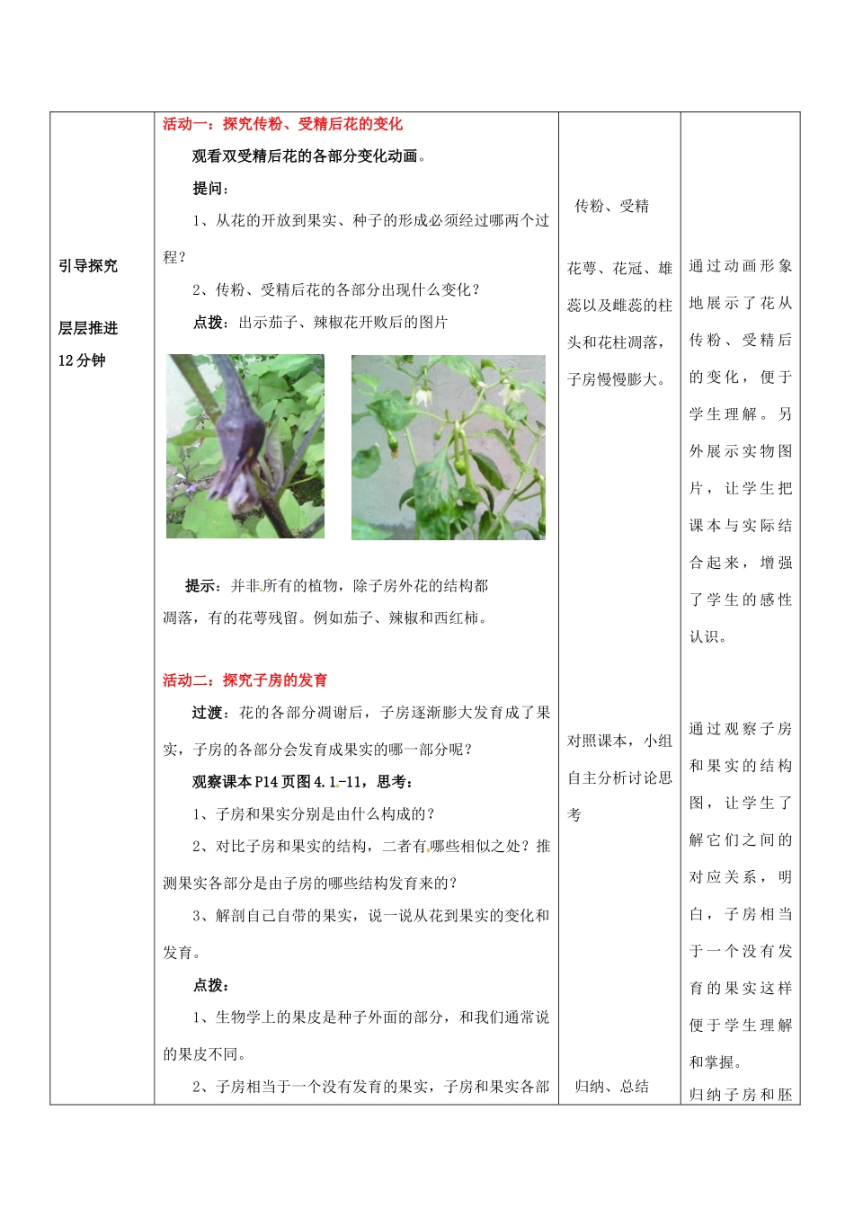 山东省枣庄市峄城区吴林街道中学八年级生物上册 4-1-3 成品果实和种子的形成（第一课时）教案 济南版_第3页