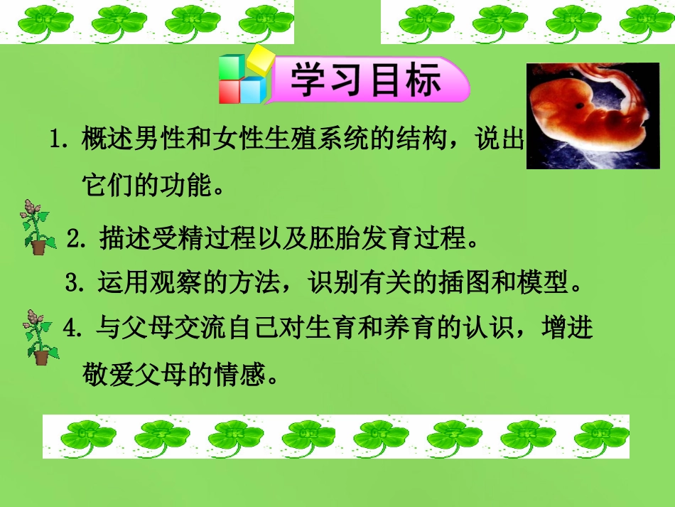 山东省新泰市青云街道第一初级中学七年级生物下册 4.1.2 人的生殖课件 新人教版_第3页