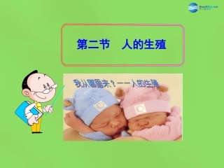 山东省新泰市青云街道第一初级中学七年级生物下册 4.1.2 人的生殖课件 新人教版