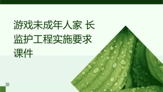 游戏未成年人家长监护工程实施要求课件