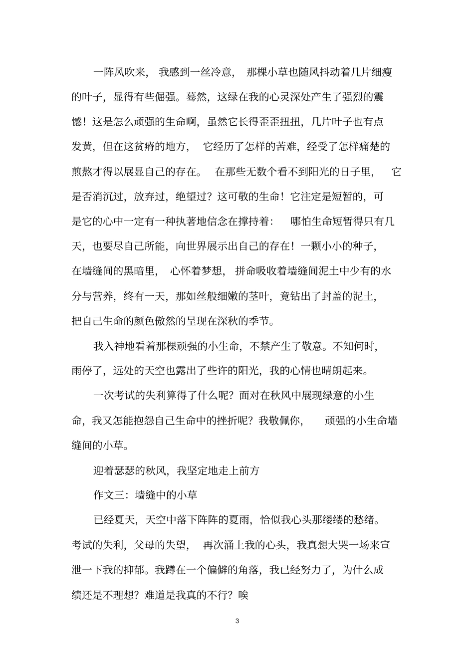 墙缝中的小草初中作文_第3页