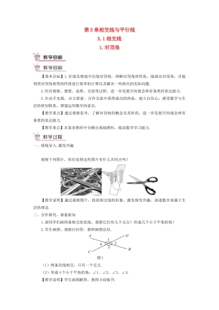 七年级数学上册 第5章 相交线与平行线5.1相交线 1对顶角教案 （新版）华东师大版-（新版）华东师大版初中七年级上册数学教案