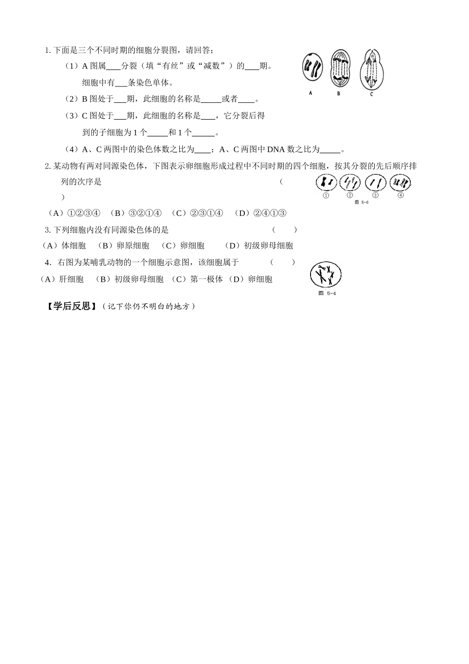 高中生物减数分裂第三课时教案新人教版必修2_第3页