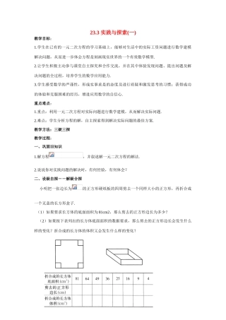 九年级数学上册23.3.1实践与探索（第1课时）教案华东师大版
