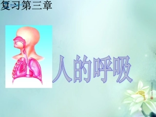山东省临沂市蒙阴县第四中学七年级生物下册 第四单元 第三章 人的呼吸复习课件 （新版）新人教版