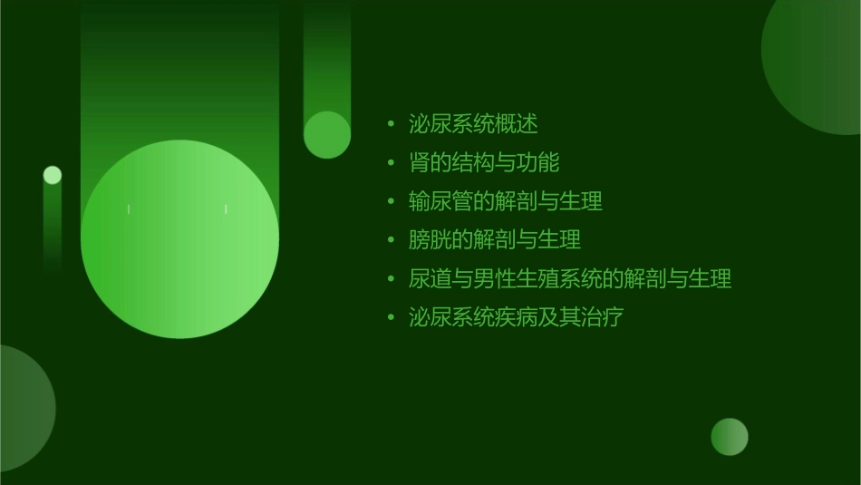 系统解剖学之泌尿系统通用课件_第2页