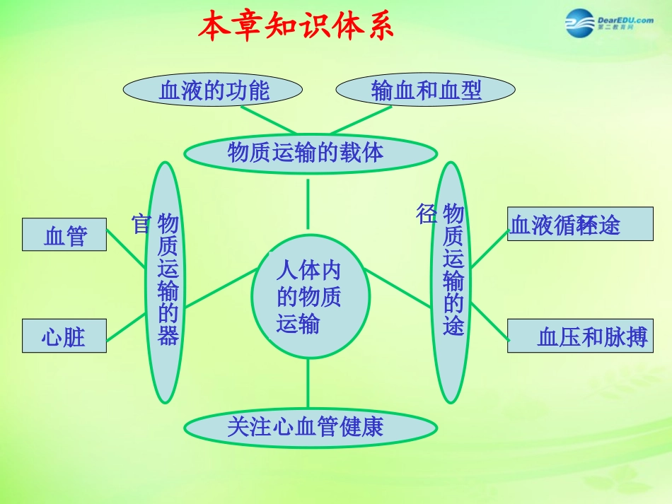 七年级生物下册 3.3.1 物质运输的载体课件1 （新版）济南版_第2页