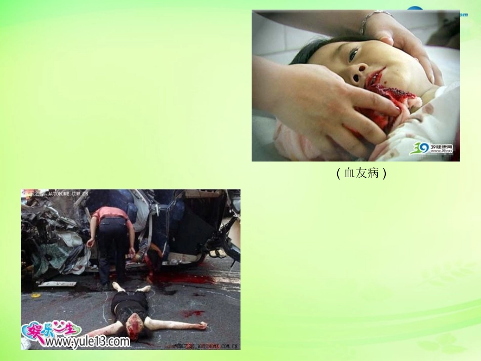 七年级生物下册 3.3.1 物质运输的载体课件1 （新版）济南版_第3页