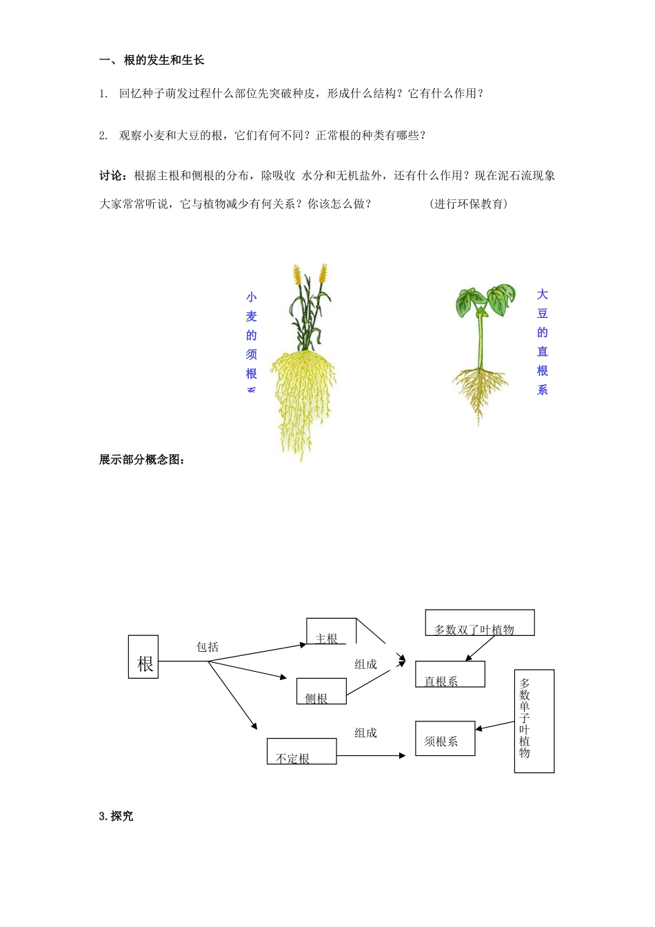 七年级生物上册 6.2 营养器官的生长教案1 北师大版_第3页
