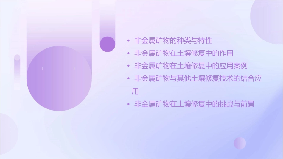 非金属矿物在土壤修复中的应用课件_第2页