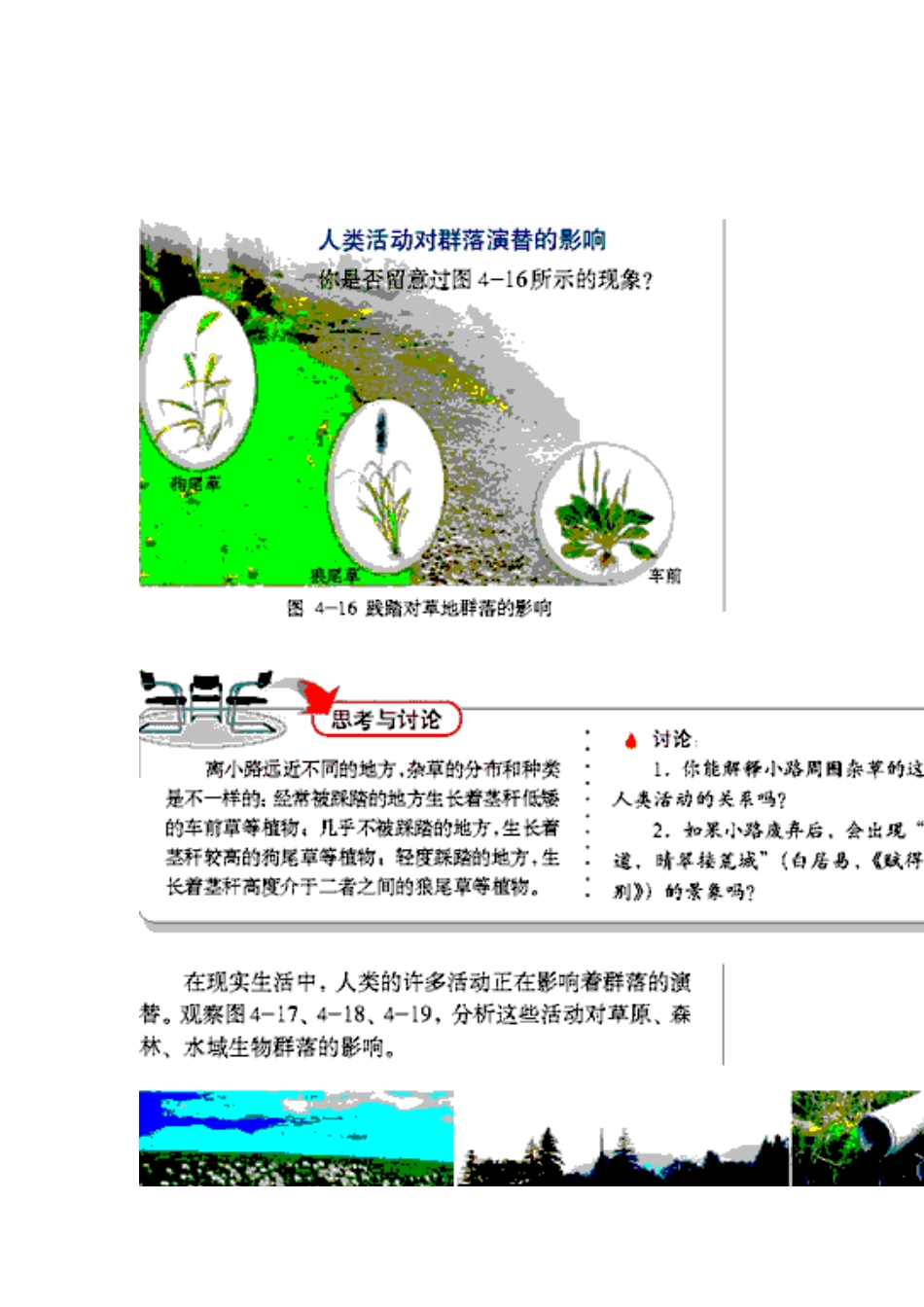 高中生物-有关群落演替的问题教案新人教版必修3_第2页